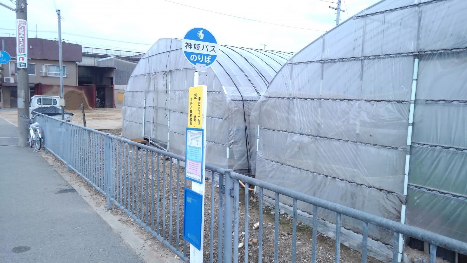 芝崎バス停留所です。