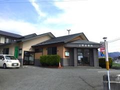 上野接骨院