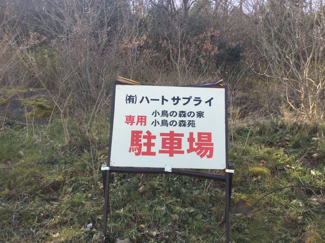 小鳥の森の家
