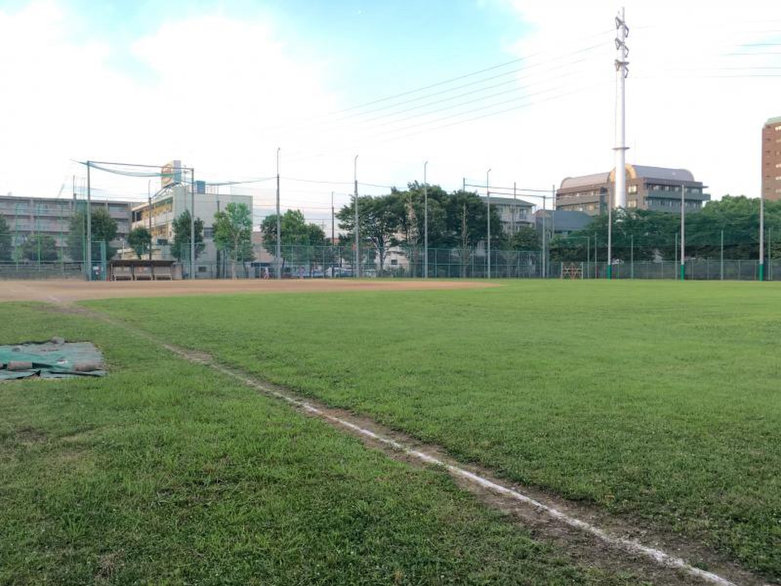 谷中 公園 野球 場