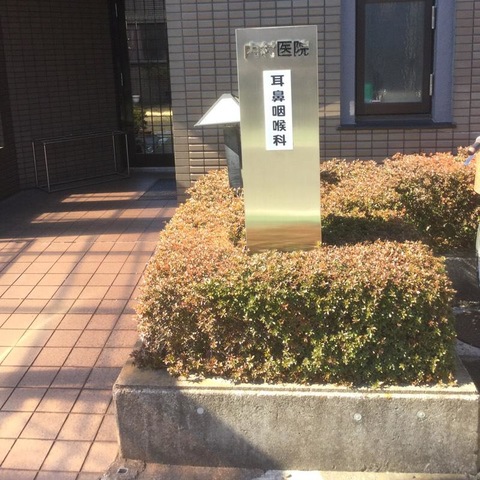 投稿写真1
