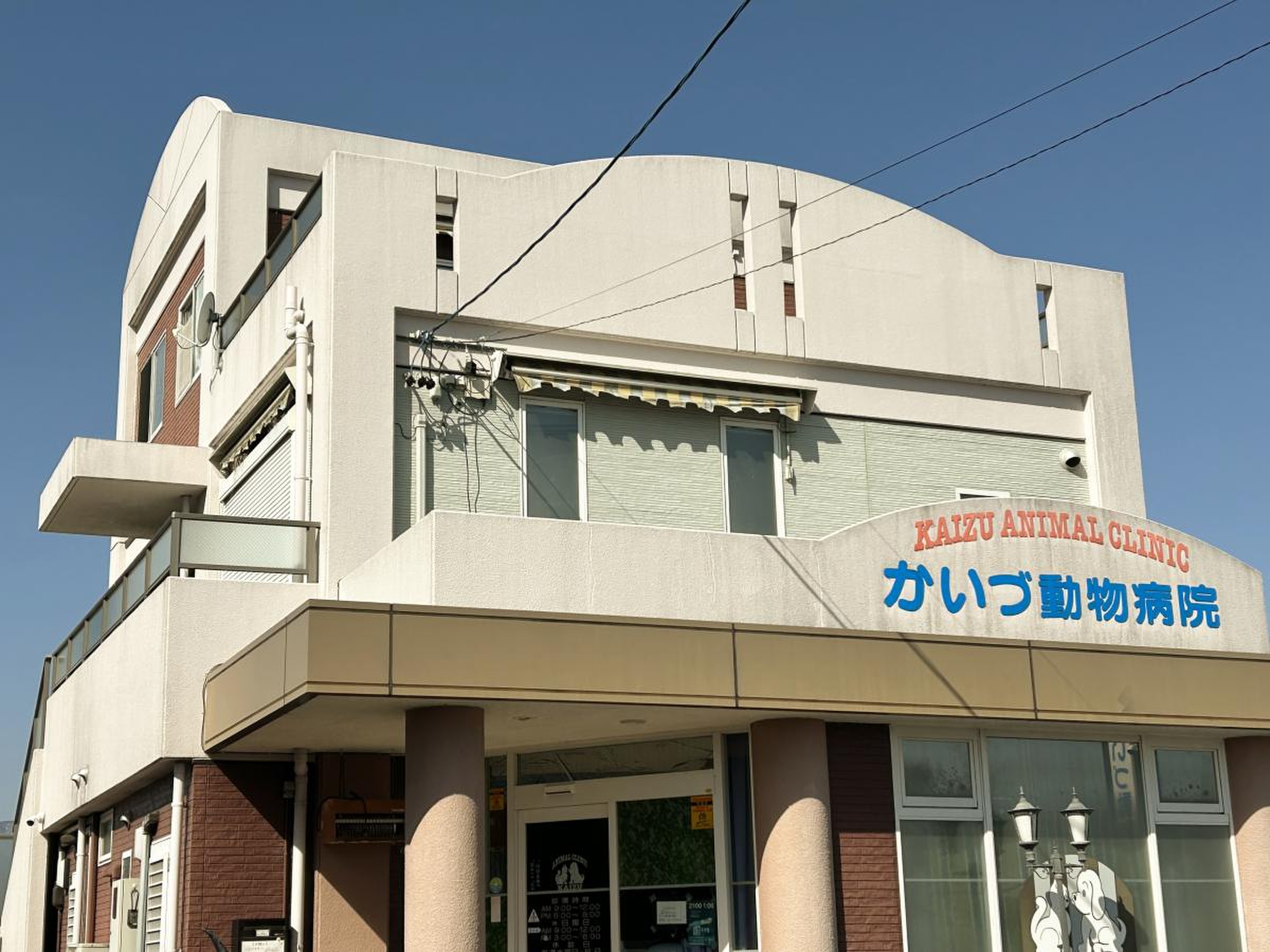 か いづ 動物 病院