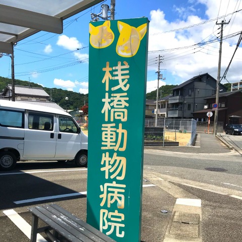 投稿写真3