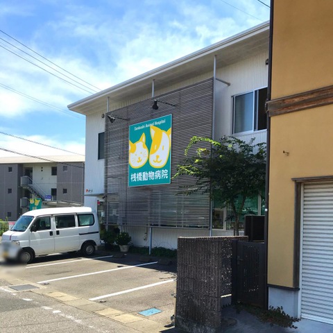 投稿写真1
