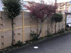せんしょう