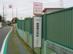 「樟葉南小学校」バス停留所