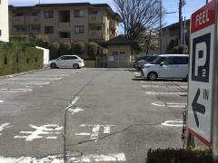 フィールみかん山