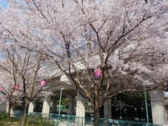 荒子川公園