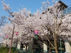 荒子川公園