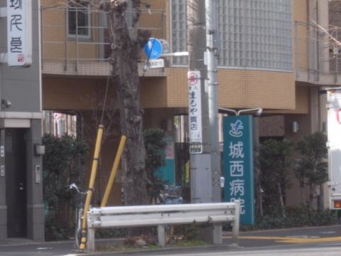 投稿写真6