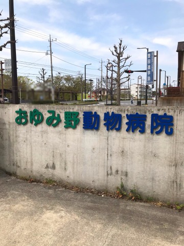 投稿写真4