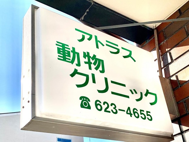 投稿写真2