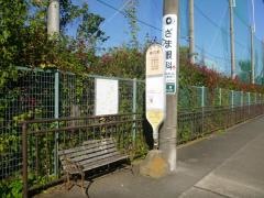 「神社前(座間市座間)」バス停留所