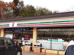 セブンイレブン　飯野青木平店