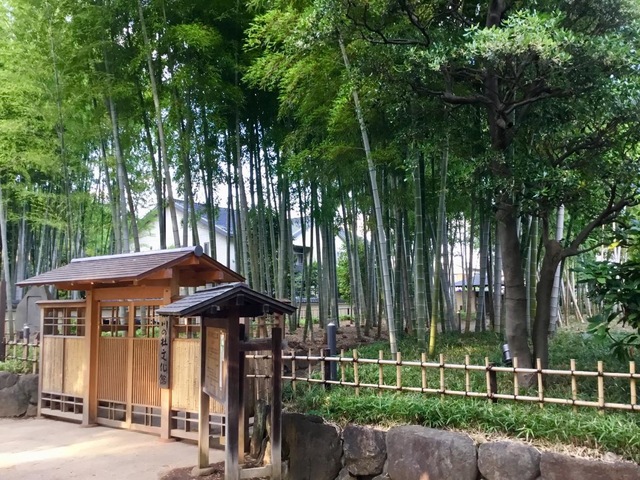 投稿写真5