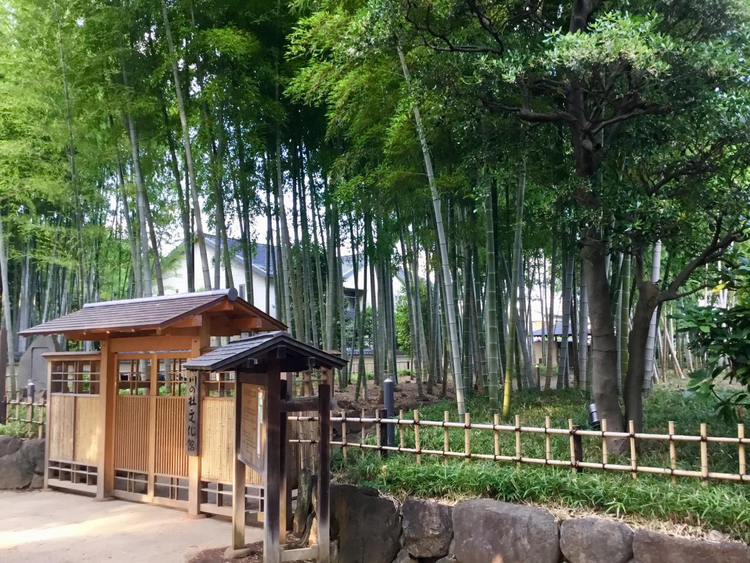 当時のメディア報道・掲載写真