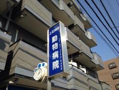 上石神井動物病院