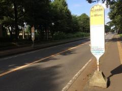 「市立博物館前(相模原市)」バス停留所