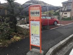 「天城小学校」バス停留所