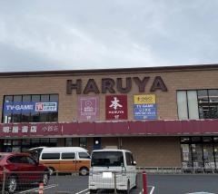 ＨＡＲＵＹＡプラスゲオ小郡店
