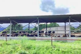 小林牧場