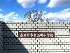 玉川小学校