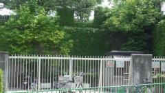 沢池小学校