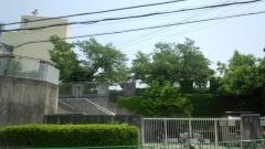 沢池小学校