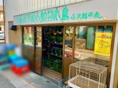 喜沢熱帯魚店