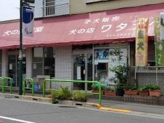 犬の店ワタナベ