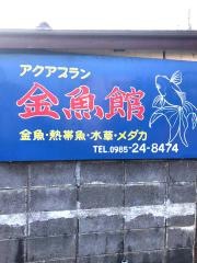 アクアプラン金魚館
