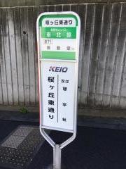 「桜ケ丘東通り」バス停留所