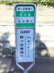 「桜ケ丘東通り」バス停留所