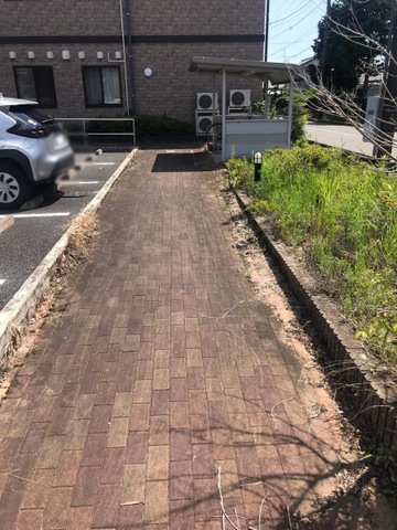 そよ風
