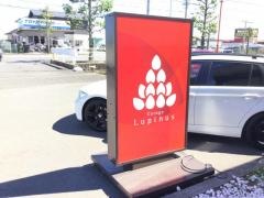ガラージュルピナス
