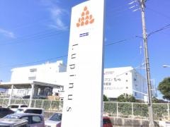 ガラージュルピナス