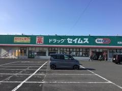 ドラッグセイムス　鴻巣薬局