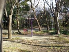 中央緑地