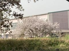 久留米市立筑邦西中学校