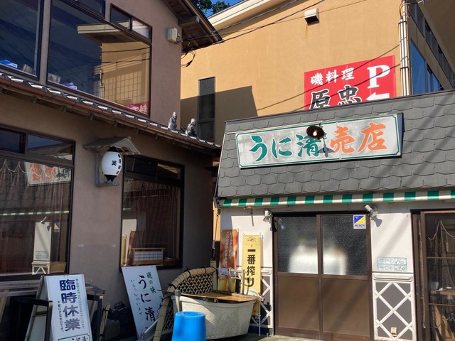 NO.8うにきよ うに清 - Updated August 2025 - 真鶴1161-7, 足柄下郡 真鶴町