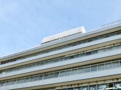 エヌ・ティ・ティ・ベトナム株式会社
