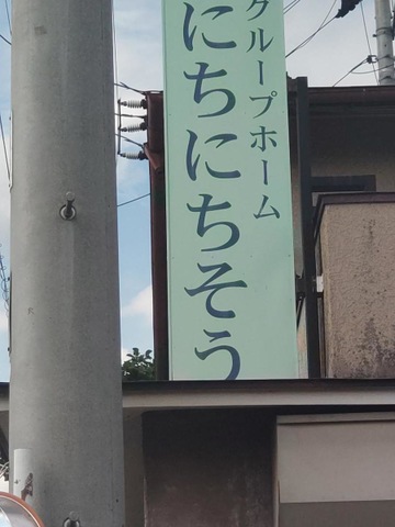 にちにちそう
