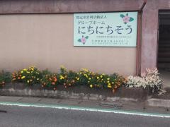 にちにちそう