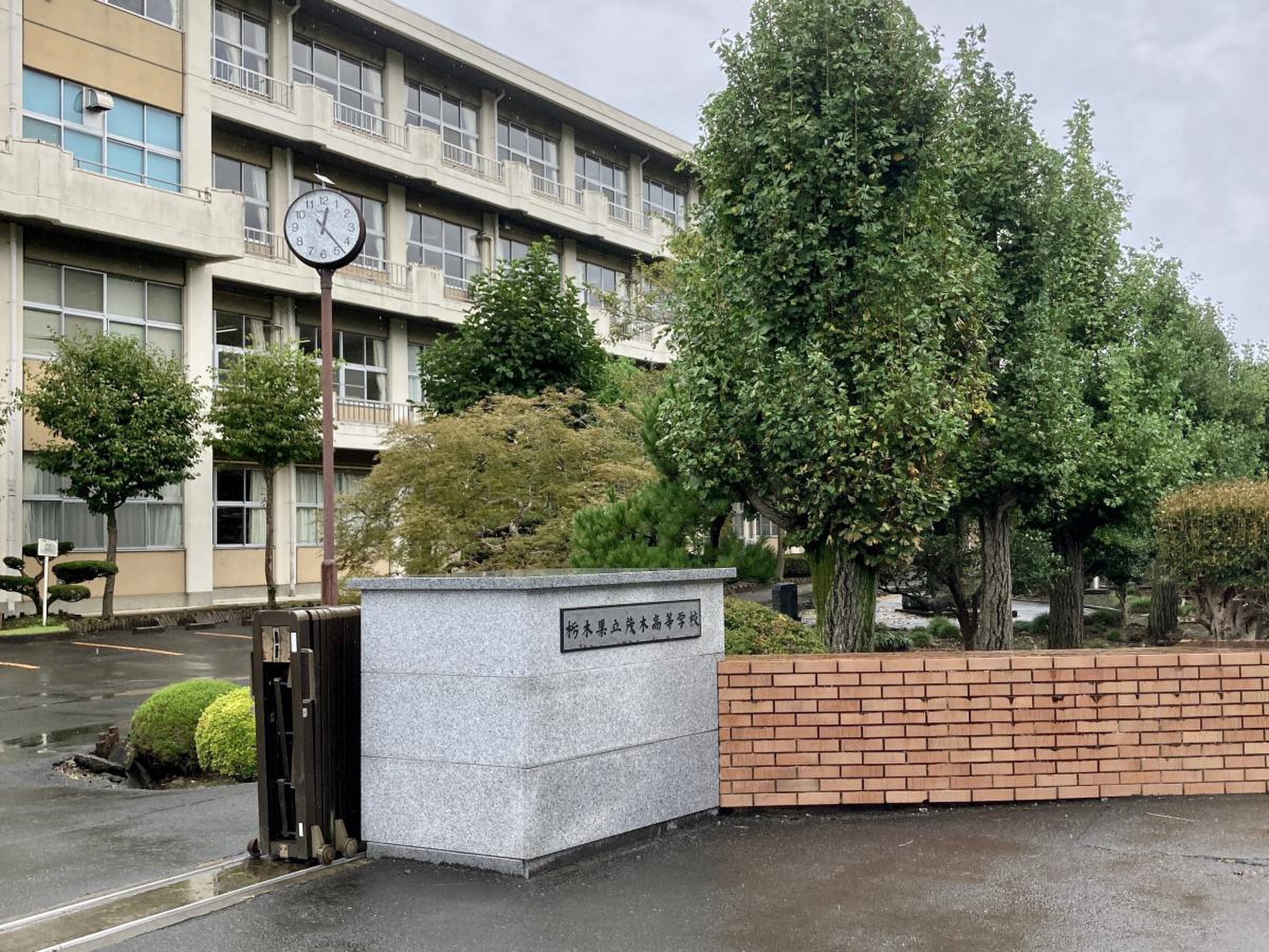 公の場での発言・インタビュー報道記録
