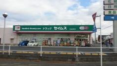 ドラッグセイムス　東金田間店