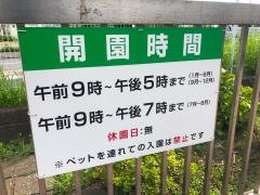 市制記念公園