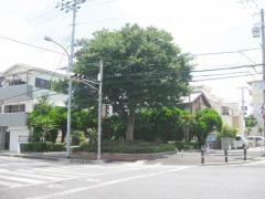 長洲東通2丁目緑地