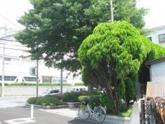 長洲東通2丁目緑地