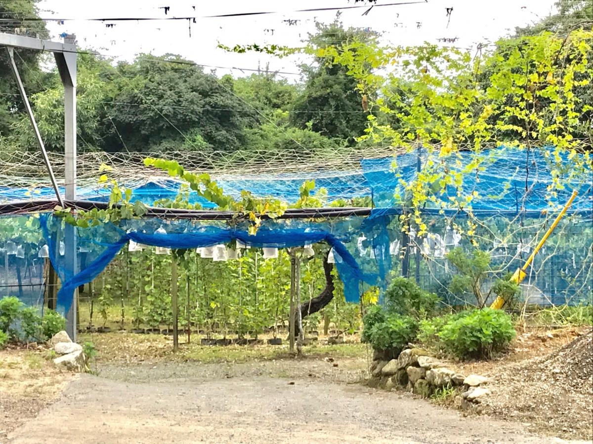 森田筑緑園