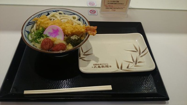 料理/グルメ 画像12